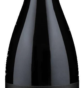 Viña Zorzal Malayeto (Garnacha) 2019 For Cheap