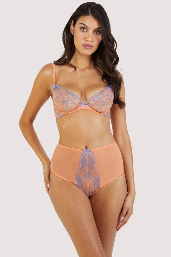 Palm Bay Coral Embroidery High Waist Brief Online now