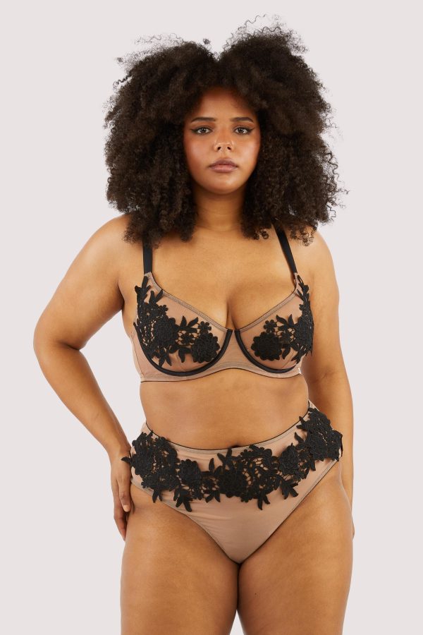 Alaina Illusion Mesh And Black Applique Brief on Sale