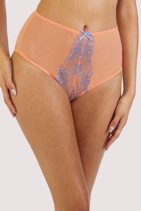 Palm Bay Coral Embroidery High Waist Brief Online now