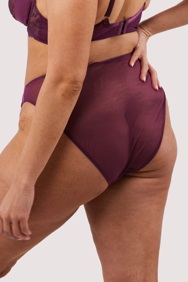 Astrid Merlot Lace And Trim Brief Online