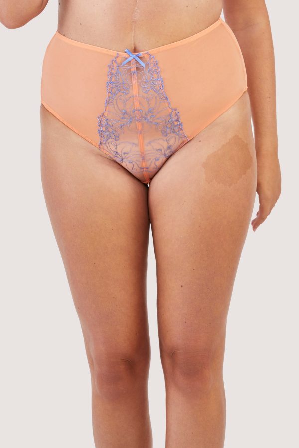 Palm Bay Coral Embroidery High Waist Brief Online now