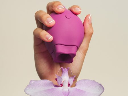 The Poet Suction Clitoral Vibrator Fashion