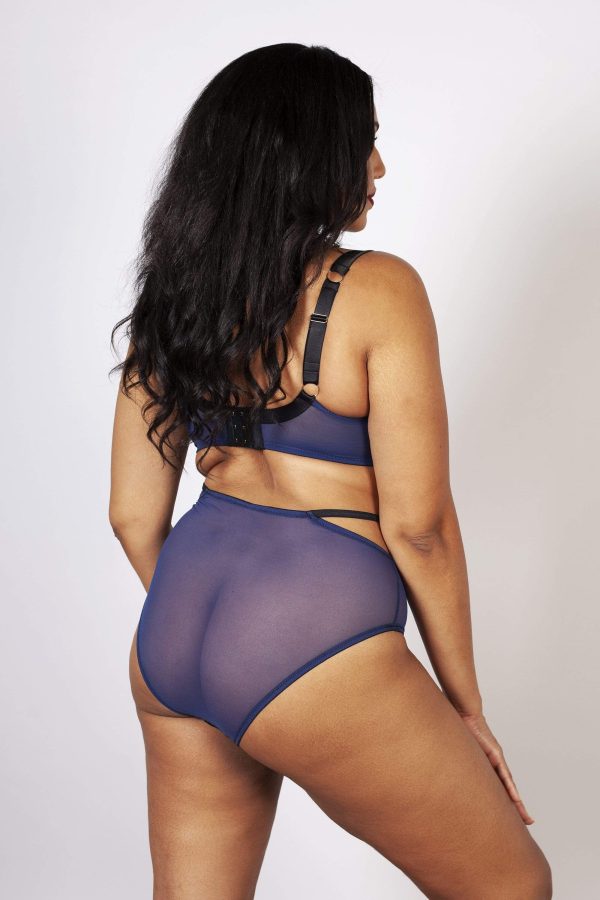 Tabitha Blue Embroidery Curve HW Brief Online Hot Sale