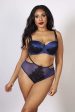 Tabitha Blue Embroidery Curve HW Brief Online Hot Sale