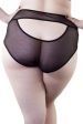 Juliet Curve High Waist Brief Hot on Sale