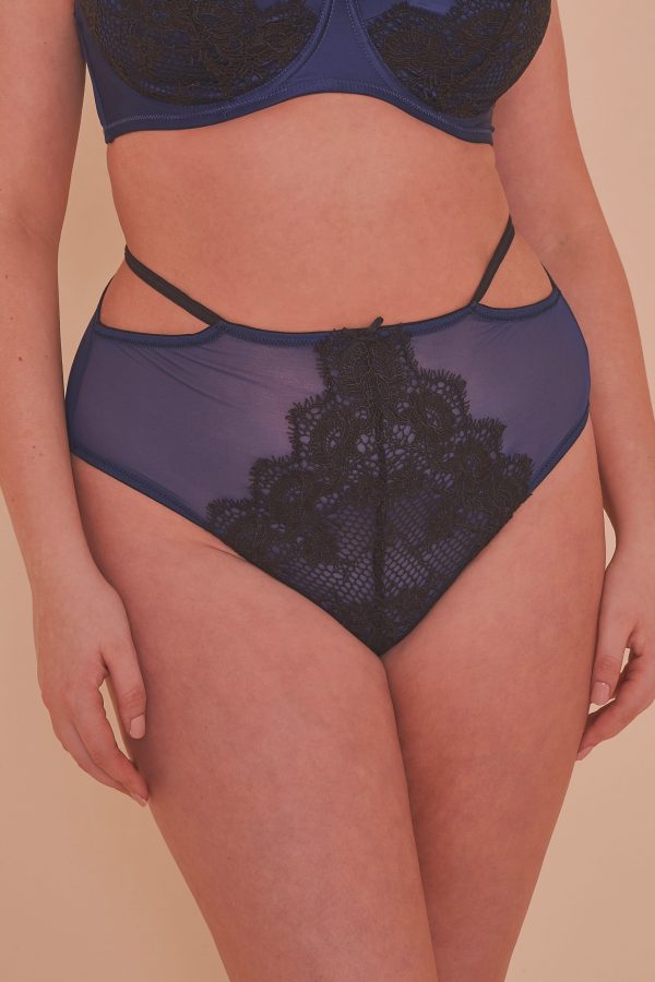 Tabitha Blue Embroidery Curve HW Brief Online Hot Sale