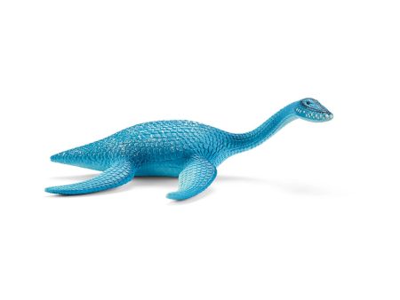 Plesiosaurus Sale