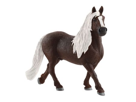 Black Forest Stallion Hot on Sale