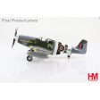 1 48 Mustang III   Eugeniusz Horbaczewski   PKG FB382 315 Squadron RAF 1944 Online Sale