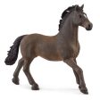 Oldenburger Stallion Online