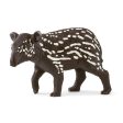 Tapir Baby Supply