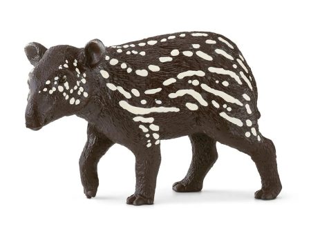 Tapir Baby Supply