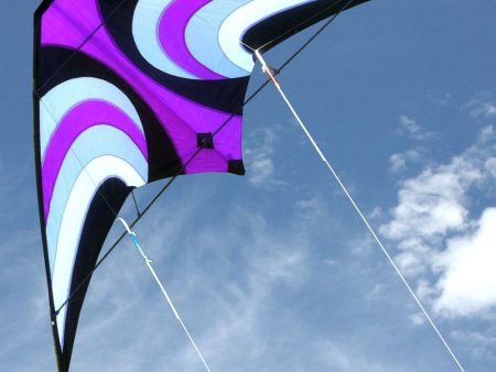 Offshore Performance Kite Dual Control Online Hot Sale