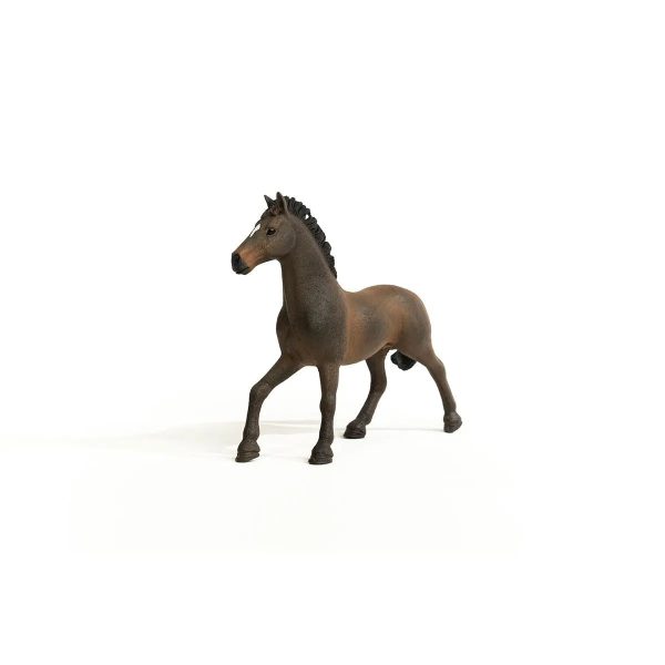 Oldenburger Stallion Online