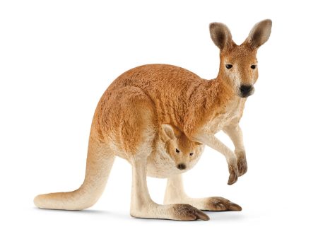 Kangaroo Supply