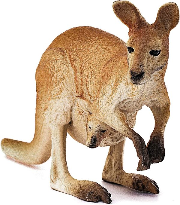 Kangaroo Supply