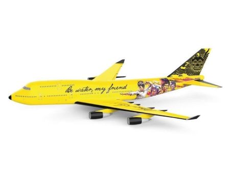 Bruce Lee Boeing 747400 Online now