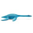 Plesiosaurus Sale