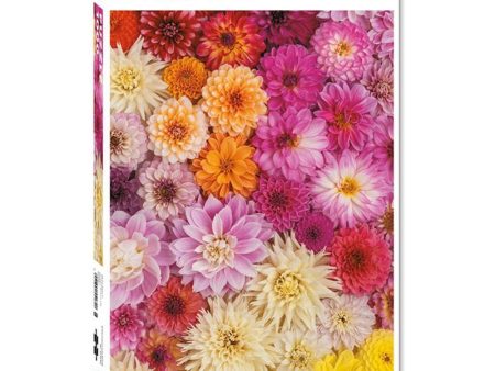 1000pc Dahlias Fashion