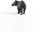 Tapir Baby Supply