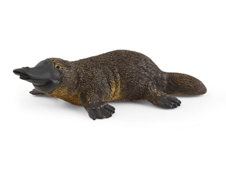 Platypus For Discount