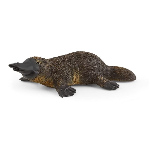 Platypus For Discount