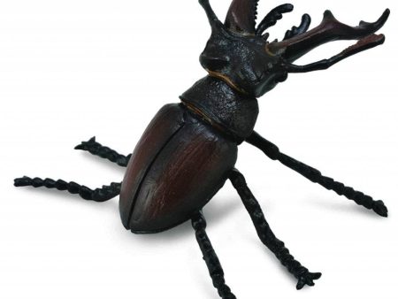 Stag Beetle Online Sale