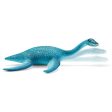 Plesiosaurus Sale