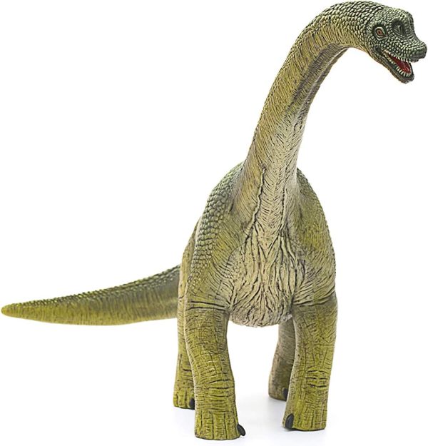 Brachiosaurus For Cheap