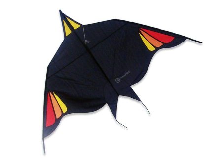 Ostend Bird 100 Kite Supply