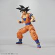 Figurerise Standard Son Goku For Discount