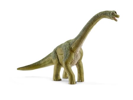 Brachiosaurus For Cheap