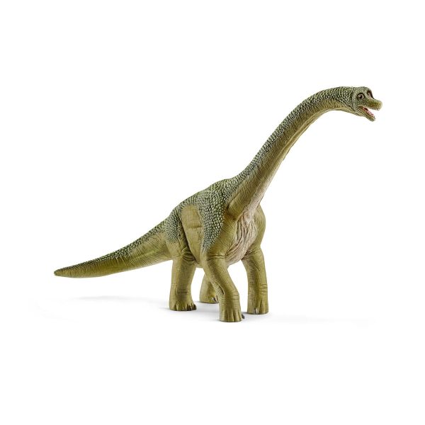 Brachiosaurus For Cheap