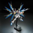 RG 1 144 ZGMFX20A Strike Freedom Gundam For Discount