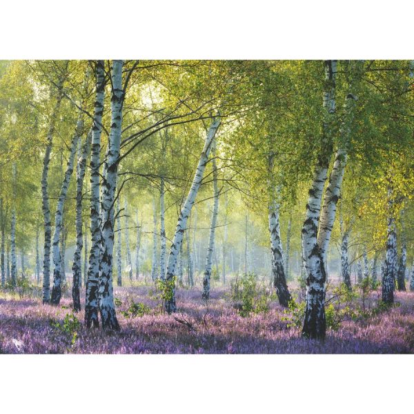 1000pc Birch Forest Puzzle Supply