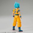 Figurerise Standard Super Saiyan God Son Soku Special Color Online Sale