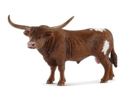 Texas Longhorn bull Supply