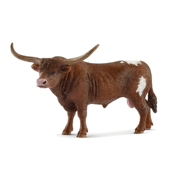 Texas Longhorn bull Supply