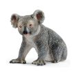 Koala Sale