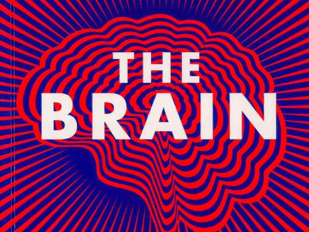 The Brain: Everything You Need To Know Sale